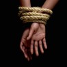 Les fondements de l’esclavage : la tentation esclavagiste