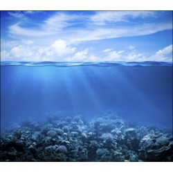 L'océan, gardien de l'équilibre climatique