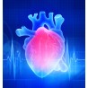 Les biothérapies cardiaques