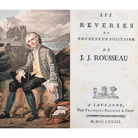 Rousseau et la politique