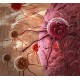 Le feu par le feu : les approches actuelles de thérapies géniques et cellulaires anticancéreuses ?