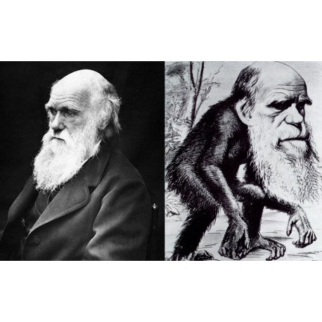 Darwin et le racisme