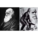 Darwin et le racisme