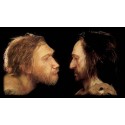 Néandertal et Homo sapiens