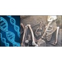 Voyager dans le temps avec l'ADN fossile
