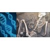 Voyager dans le temps avec l'ADN fossile