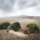 Climato-scepticisme : philosophie ou imposture ?