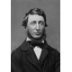 Thoreau : Henry David Thoreau et la désobéissance civile