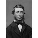 Thoreau  : Thoreau et la désobéissance civile, ou l'anti-Léviathan