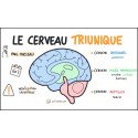 Le cerveau reptilien