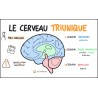 Le cerveau reptilien