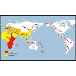 SAPIENS : Itinéraire d'un migrant, trajectoire d'un concept