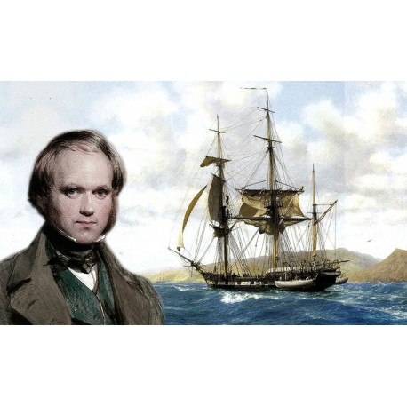 Le voyage initiatique de Darwin