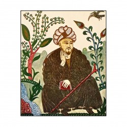 Al-Fârâbî et la philosophie néoplatonicienne