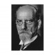 Husserl et la phénoménologie