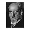 Husserl et la phénoménologie
