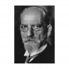 Husserl et la phénoménologie