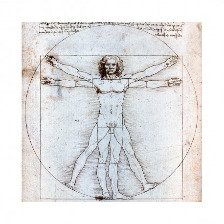cycle HISTOIRE DE L'HUMANISME