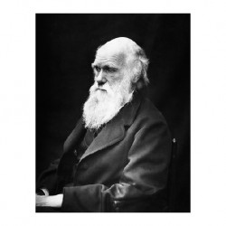 Bergson : Bergson et Darwin