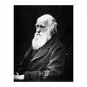 Bergson : Bergson et Darwin