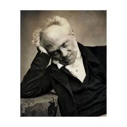 Ce que Schopenhauer a apporté à la philosophie