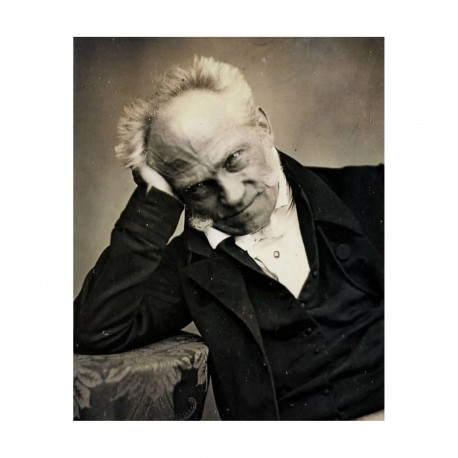 Ce que Schopenhauer a apporté à la philosophie