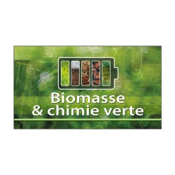 Chimie verte et  valorisation de la biomasse