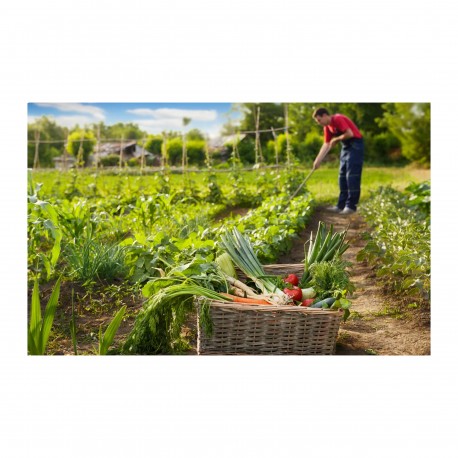 La polyactivité, comment répondre collectivement aux besoins agricoles et alimentaires de nos territoires