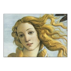 La beauté