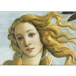 La beauté