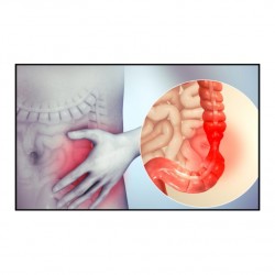 Syndrome de l’intestin irritable et axe microbiote / intestin / cerveau