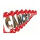CANCER ET GENETIQUE, QUELLES RELATION