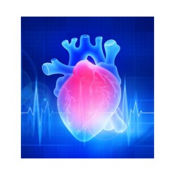 Les biothérapies cardiaques