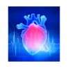 Les biothérapies cardiaques
