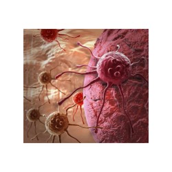 Le feu par le feu : les approches actuelles de thérapies géniques et cellulaires anticancéreuses ?