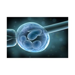 Assistance médicale à la procréation