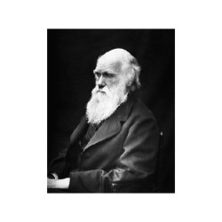 Bergson : Bergson et Darwin