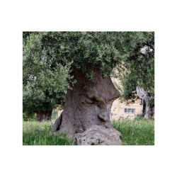 ZÉTÉTIQUE, ÉCOLOGIE ET ESPRIT CRITIQUE