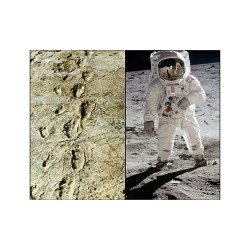 Cycle complet "LES MÉCANISMES DE L'ODYSSÉE CULTURELLE HUMAINE"