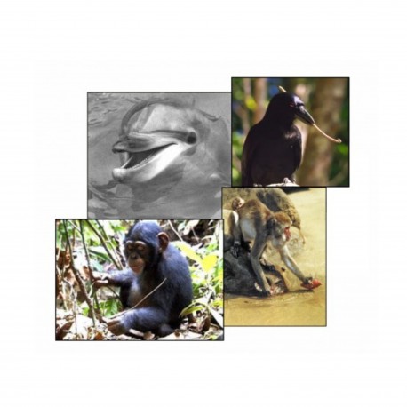 LES ANIMAUX ONT-ILS UNE CULTURE ? 