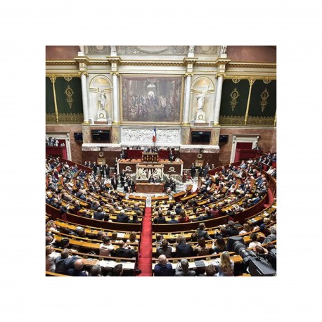 Le politique et la politique