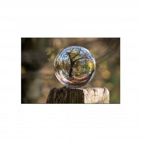 Philosophie et pansophisme