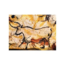 Cycle complet - La révolution animale