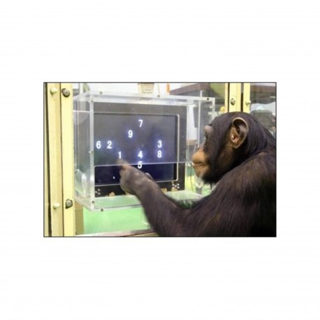 L'intelligence animale