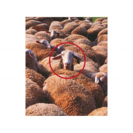 Croyance, superstition, obscurantisme