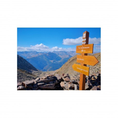 La pluralité des chemins