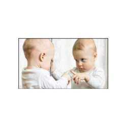 Les [R]évolutions de la conscience