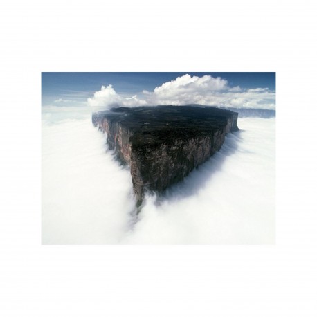 La naturalité du cosmos