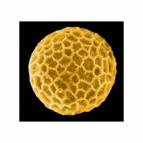 Ordre et chaos dans le cosmos