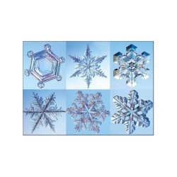 Cosmodiversité et biodiversité